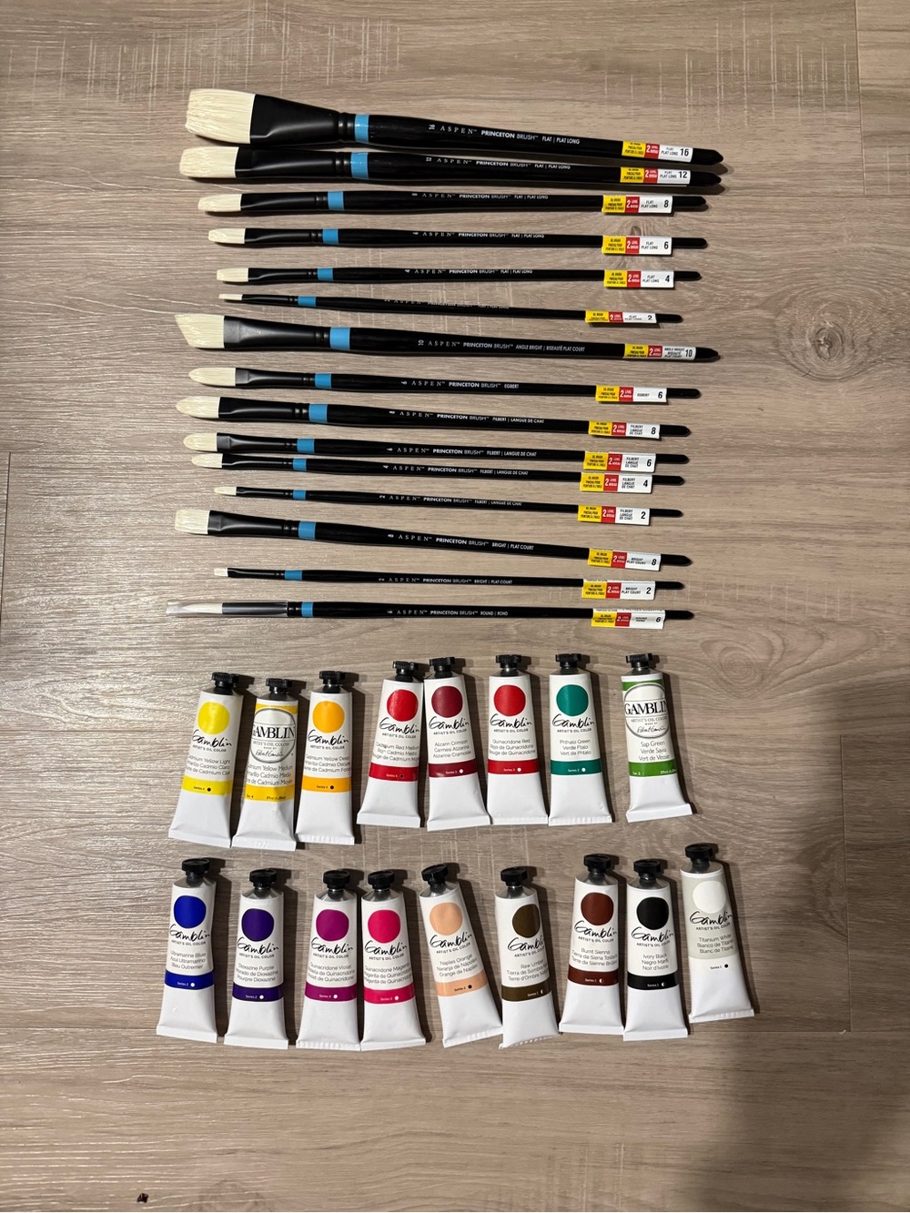 NEW Gamblin Artist Oil Paint Set + Princeton Aspen Brush Bundle